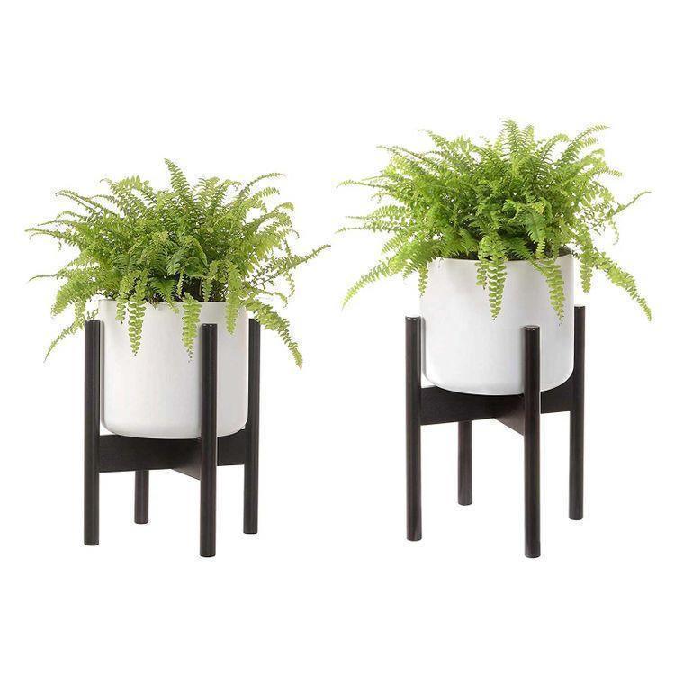 Plant Stand Dark Brown FredCo