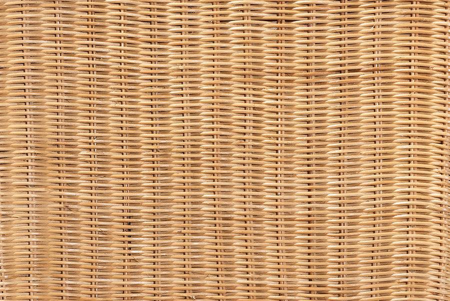 Racquel Modern Bohemian Natural Rattan and Mahogany Wood Bar Stool FredCo