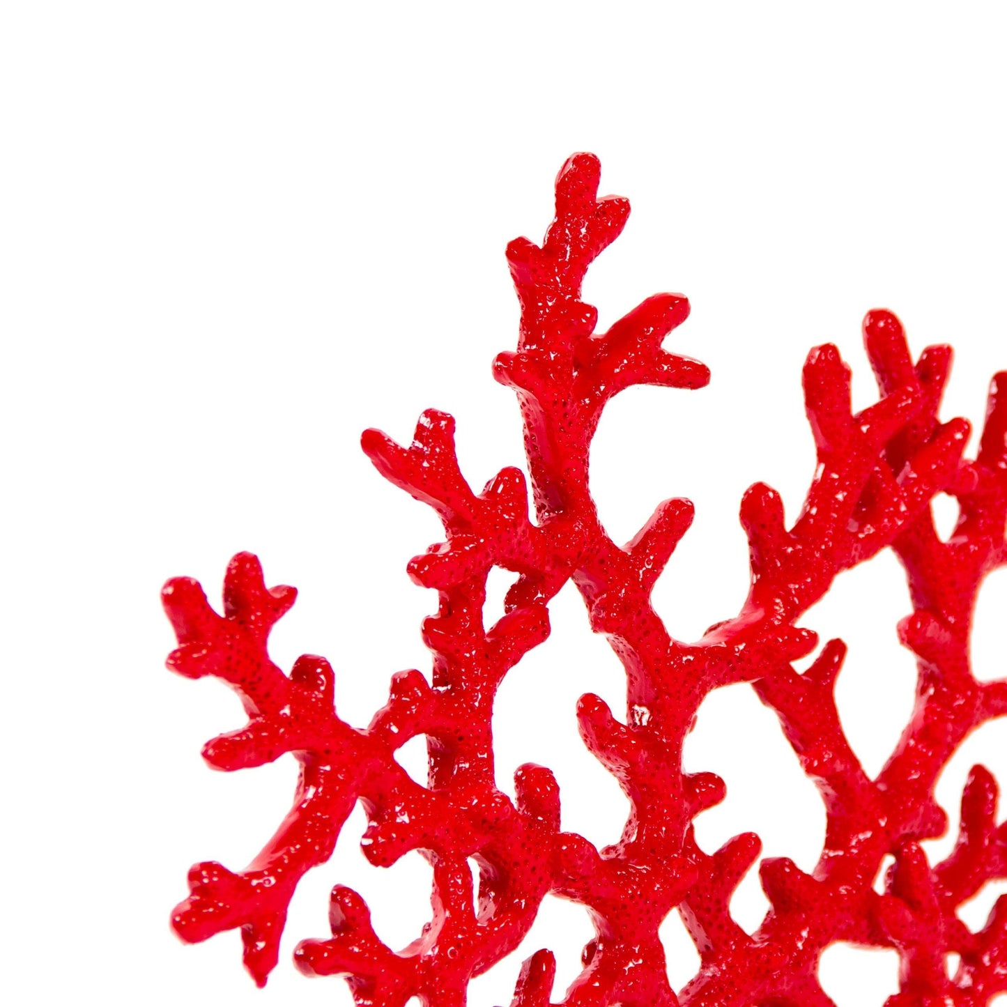 Red Coral SHI008 FredCo