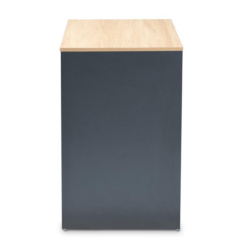 Reed Mid-Century Modern 2-Drawer Multicolor Wood Computer Desk FredCo