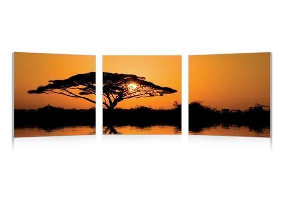 Savannah Sunset Mounted Photography Print Triptych FredCo