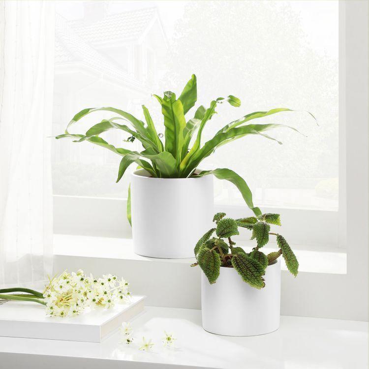 Set of 2 Plant Pots White FredCo