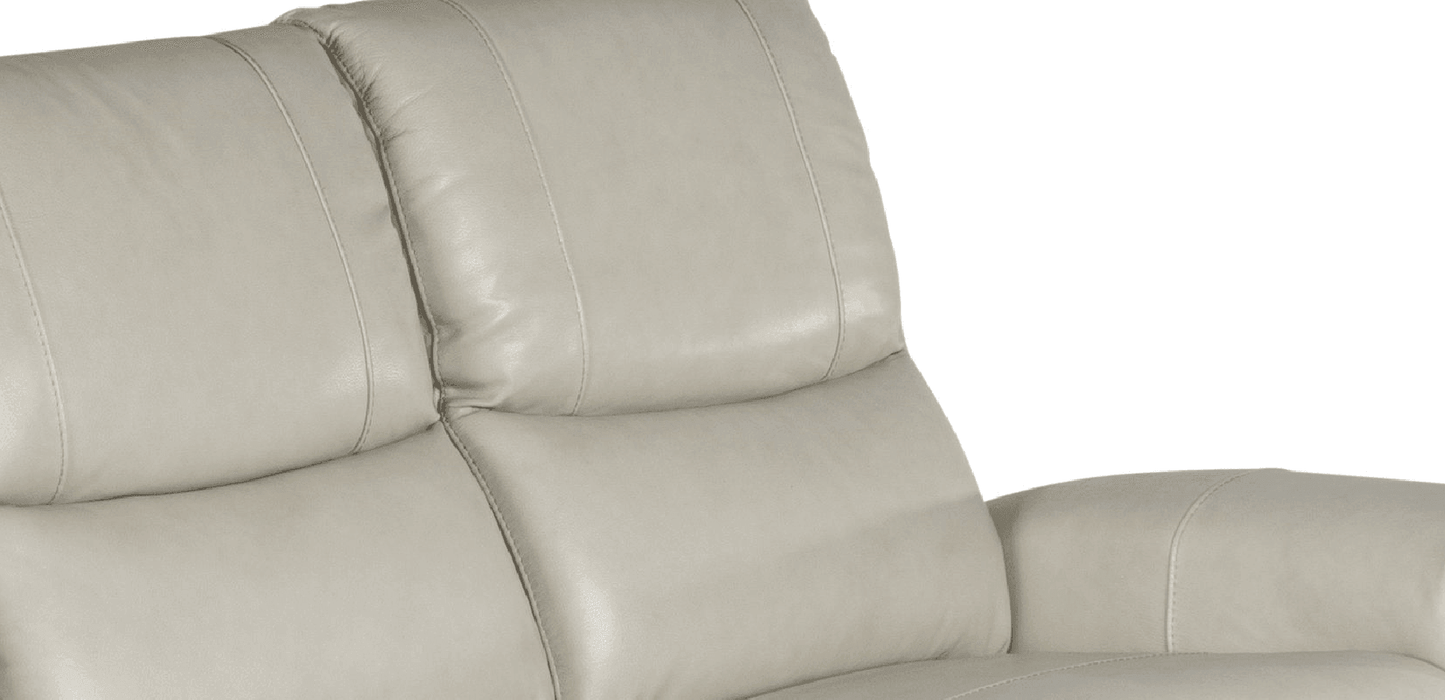 Steve Silver Contemporary Leather Collection LL950SI FredCo