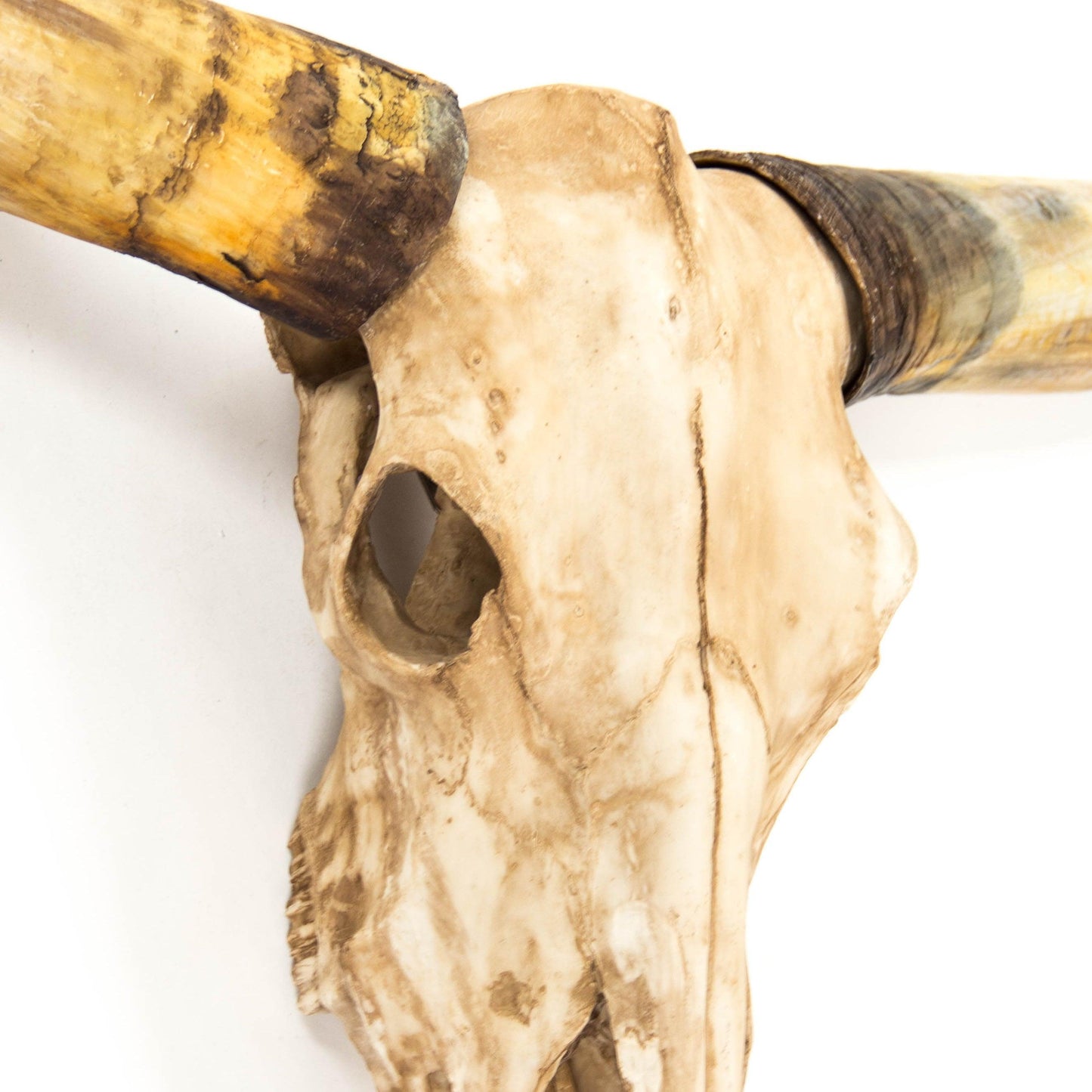 Texas Long Horn Skull Wall Decor SHI035 FredCo