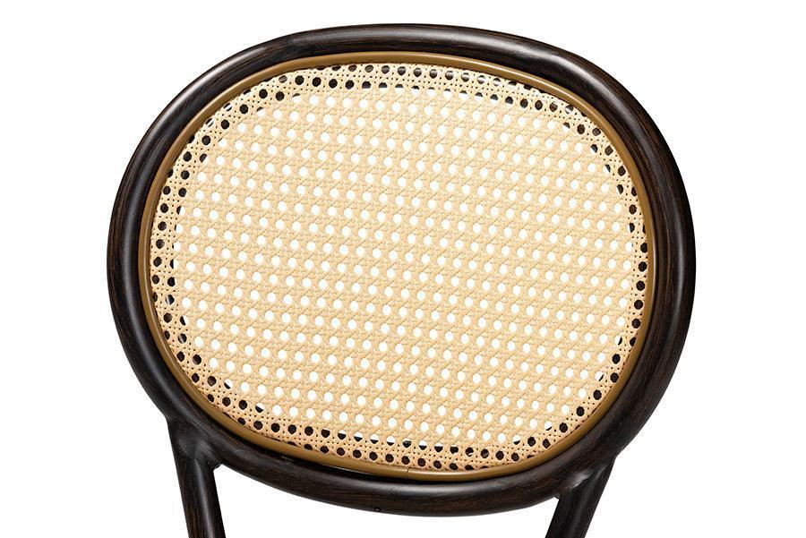Thalia Mid-Century Modern Dark Brown Finished Metal and Synthetic Rattan 2-Piece Outdoor Dining Chair Set FredCo