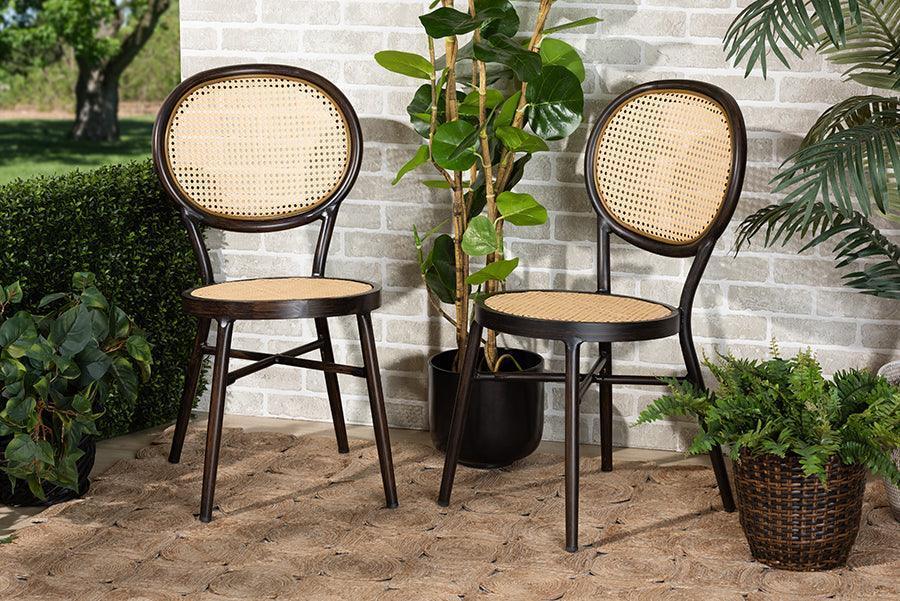 Thalia Mid-Century Modern Dark Brown Finished Metal and Synthetic Rattan 2-Piece Outdoor Dining Chair Set FredCo