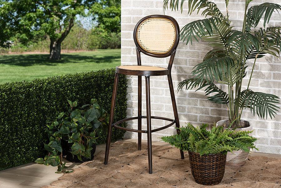 Thalia Mid-Century Modern Dark Brown Finished Metal and Synthetic Rattan Outdoor Bar Stool FredCo