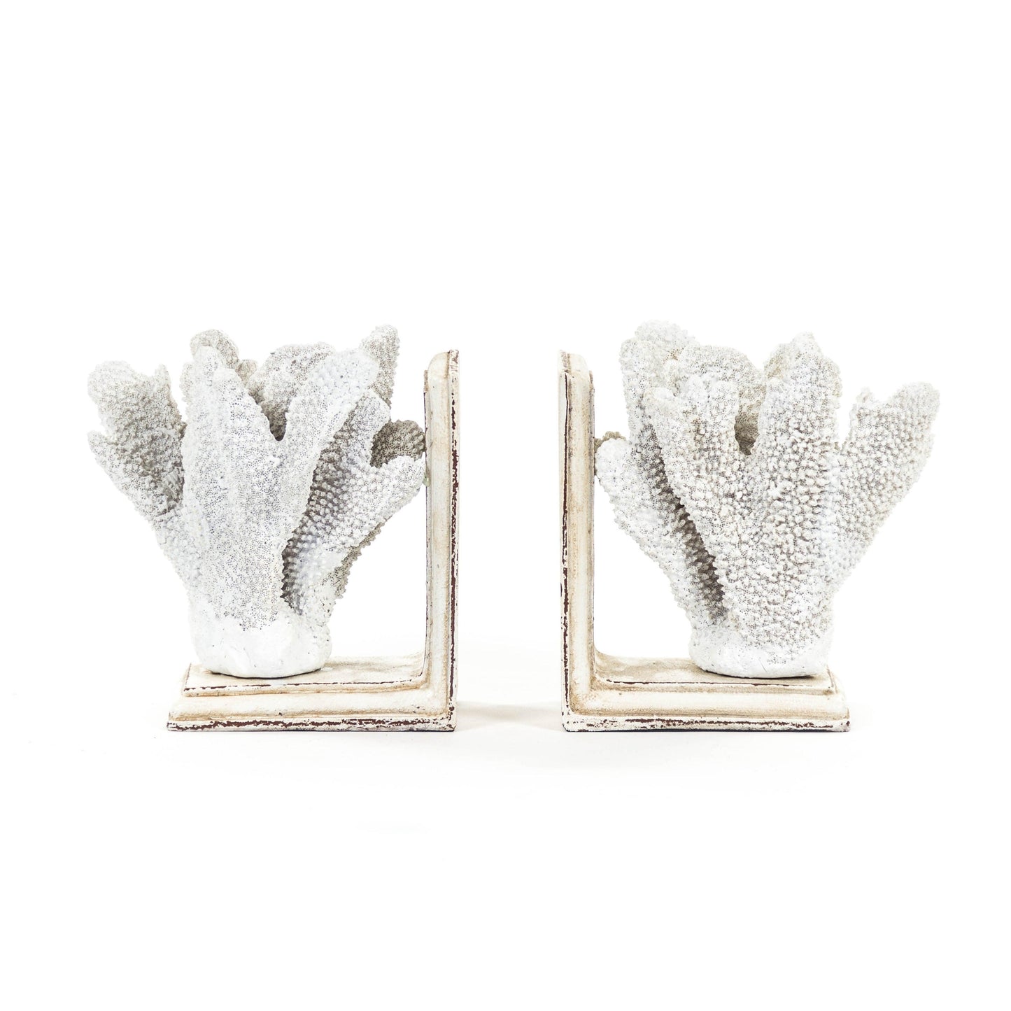 White Coral Bookends SHI024 FredCo