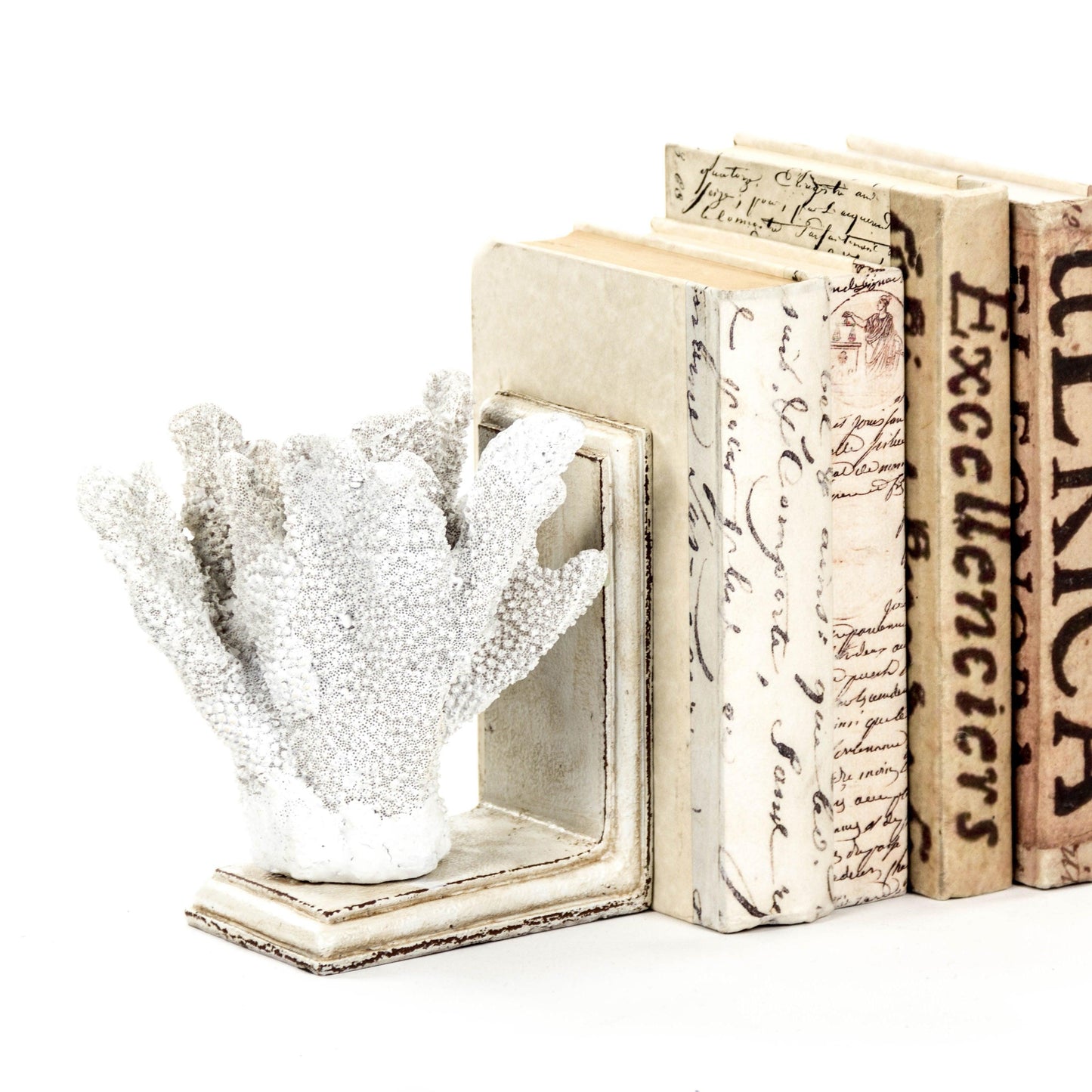 White Coral Bookends SHI024 FredCo
