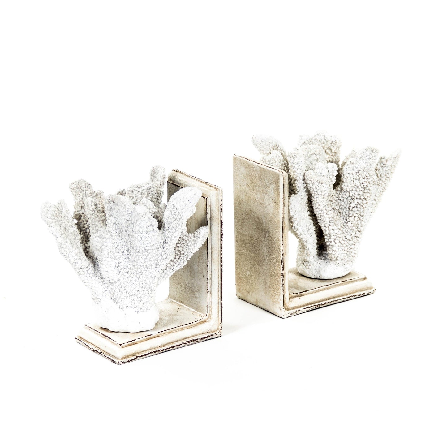 White Coral Bookends SHI024 FredCo