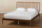 Baxton Studio Abel Classic and Traditional Transitional Walnut Brown Finished Wood Full Size Platform Bed