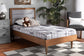 Baxton Studio Seren Mid-Century Modern Light Grey Fabric Upholstered and Walnut Brown Finished Wood Twin Size Platform Bed