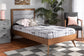 Baxton Studio Linn Mid-Century Modern Light Grey Fabric Upholstered and Walnut Brown Finished Wood Twin Size Platform Bed
