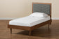 Baxton Studio Tasha Mid-Century Modern Dark Grey Fabric Upholstered and Walnut brown Finished Wood Twin Size Platform Bed