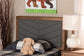 Baxton Studio Iden Modern and Contemporary Dark Grey Fabric Upholstered and Walnut Brown Finished Wood Twin Size Headboard