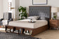 Baxton Studio Jalie Classic Transitional Grey Fabric and Walnut Brown Finished Wood King Size Platform Storage Bed