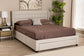 Baxton Studio Braylon Mid-Century Modern Transitional Beige Fabric and Dark Brown Finished Wood Full Size 3-Drawer Storage Platform Bed