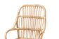 bali & pari Sumatera Modern Bohemian Natural Brown Rattan 2-Piece Dining Chair Set