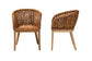 bali & pari Mario Modern Bohemian Natural Brown Finished Teak Wood and Rattan 2-Piece Dining Chair Set