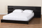 Baxton Studio Elina Modern Ebony Black Wood Queen Size Platform Bed with Built-In Shelves