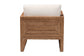 bali & pari Helina Bohemian Bleached Seagrass and Acacia Wood Arm Chair