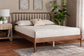 Baxton Studio Maeron Mid-Century Modern Walnut Brown Queen Platform Bed with Spindle Headboard
