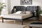 Baxton Studio Cascadia Mid-Century Modern Ebony Black Wood Queen Size Wingback Platform Bed
