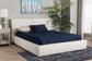Baxton Studio Laverick Modern Cream Boucle Queen Platform Bed with Border Piping