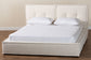 Baxton Studio Laverick Modern Cream Boucle Queen Platform Bed with Border Piping