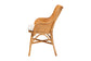 bali & pari Celsie Bohemian Light Honey Rattan Dining Chair