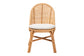 bali & pari Daniela Bohemian Light Honey Rattan Dining Chair