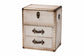 Baxton Studio Agatha Vintage Coffee Canvas 2-Drawer Storage Trunk