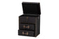 Baxton Studio Agatha Vintage Black Canvas 2-Drawer Storage Trunk