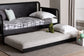 Baxton Studio Lucera Trundle - Underbed Low-Profile Rolling Base for Daybeds and Guest Rooms, Twin, Black