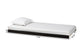 Baxton Studio Lucera Trundle - Underbed Low-Profile Rolling Base for Daybeds and Guest Rooms, Twin, Black