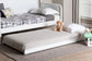 Baxton Studio Lucera Trundle - Underbed Low-Profile Rolling Base for Daybeds and Guest Rooms, Twin, White