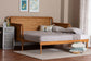 Baxton Studio Lucera Bobbin Twin-To-King Expandable Daybed - Wood Bed Frame with Turned Spindle Detailing, Classic Style Sofa Bed for Bedroom or Guest Room, Oak Brown