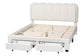 Baxton Studio Caradonna Cream Teddy-Bear Fabric Bed with Storage Drawers - Fully Upholstered Platform Bed with Scalloped Headboard, Queen