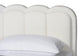 Baxton Studio Caradonna Cream Teddy-Bear Fabric Bed with Storage Drawers - Fully Upholstered Platform Bed with Scalloped Headboard, Queen