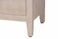 Baxton Studio Nira Faux Shagreen Storage Cabinet - Contemporary 2-Door Accent Sideboard with Sleek Metal Handles, for Entryway or Living Room