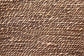 bali & pari Jasper Seagrass Bar Stool with Mahogany Wood Frame - Coastal Seating with Woven Wingback and Cushioned Seat for Bar Island or Lounge, Brown Wash
