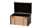 Baxton Studio Manton Storage Trunk - Decorative Storage Chest with Hinged Top and Woven Exterior for Living Room or Bedroom