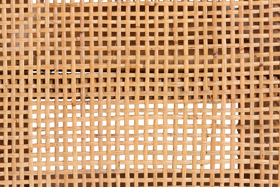 bali & pari Vivan Natural Rattan Storage Cabinet - 2-Tier Handwoven Wicker Accent Cabinet with Double Doors and Elevated Base, Natural Brown
