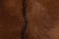 bali & pari Rivera Genuine Goat Leather Counter Stool - Rustic Boho Seating with Teak Wood Frame and Natural Hide Upholstery