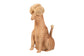 bali & pari Persis Natural Rattan Poodle Umbrella Holder - Handwoven Wicker Storage Solution