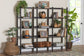 Baxton Studio Lucera Bobbin 5-Tier Display Shelf, Black