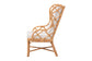 bali & pari Todd Natural Rattan Armchair