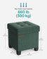 15"D x 15"W x 15.7"H Storage Ottoman Retro Green FredCo