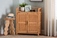 bali & pari Hendrina Natural Rattan and Mahogany Wood Shoe Cabinet, 3-Tier