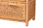 bali & pari Hendrina Natural Rattan and Mahogany Wood Shoe Cabinet, 4-Tier